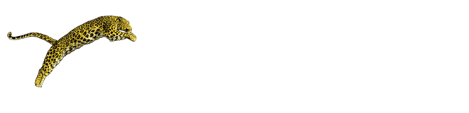 Festival del film Locarno 2015 Special Mention / Pardo for Best Actress Concorso internazionale