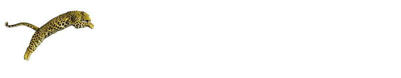 第68回ロカルノ国際映画祭　インターナショナル・コンペティション部門　最優秀女優賞、脚本スペシャル・メンション